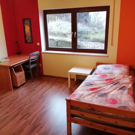 Moderne Ganze Ferienwohnung 1Km Zum Funpark Und Nur 15 Minuten Nach Nuernberg 齐恩多夫 外观 照片